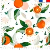 Orange et feuille d'oranger - Fond blanc