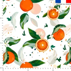 Orange et feuille d'oranger - Fond blanc