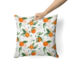 Orange et feuille d'oranger - Fond blanc