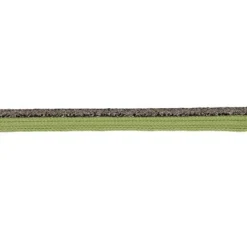 Passepoil 10mm lurex vert foncé