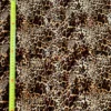 Popeline de viscose écrue motif léopard