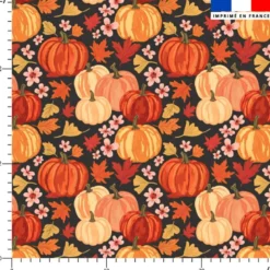 Pumpkin et fleurs d'automne - Fond anthracite
