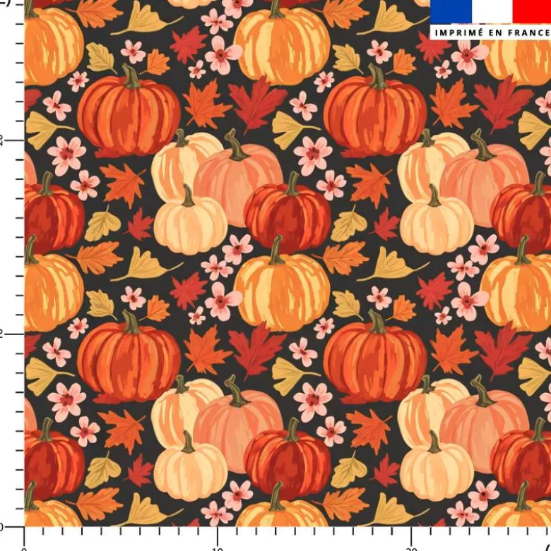 Pumpkin et fleurs d'automne - Fond anthracite