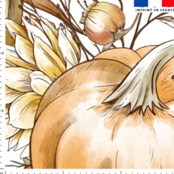 Pumpkin et tournesol - Fond blanc