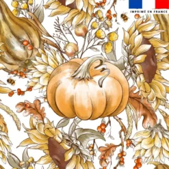 Pumpkin et tournesol - Fond blanc