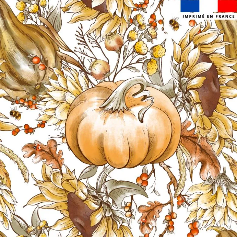 Pumpkin et tournesol - Fond blanc