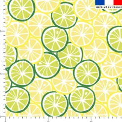 Rondelles de citron jaune et vert - Fond blanc