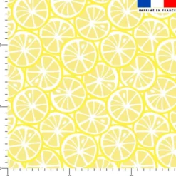 Rondelles de citron jaune - Fond blanc