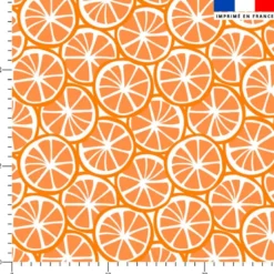 Rondelles d'orange - Fond blanc