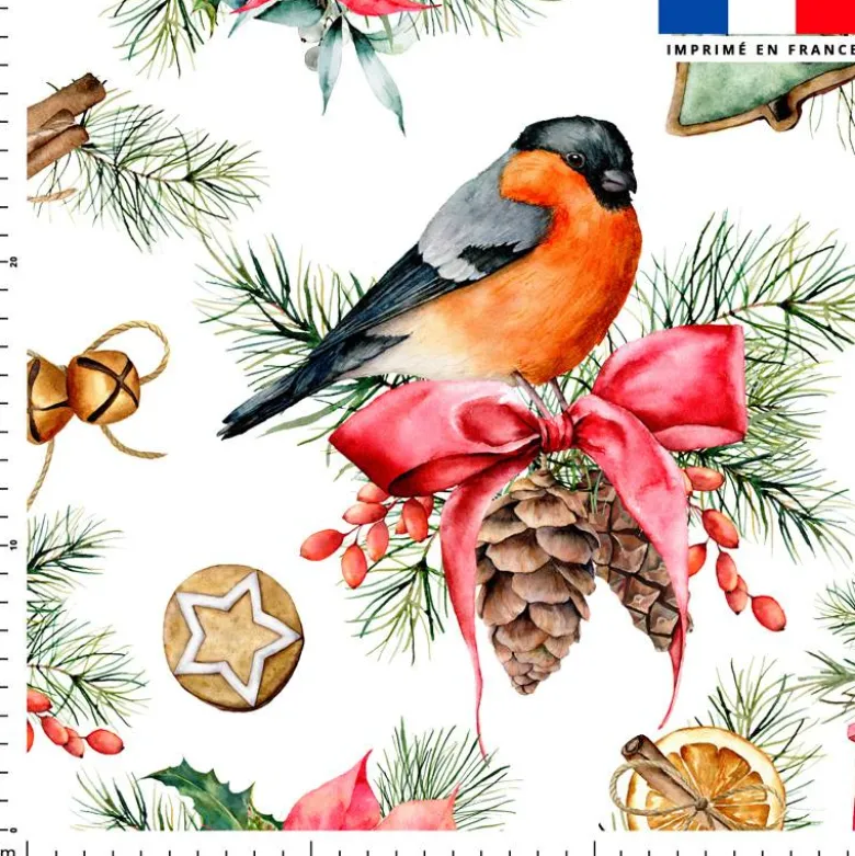 Rouge gorge et bougie de noel - Fond blanc