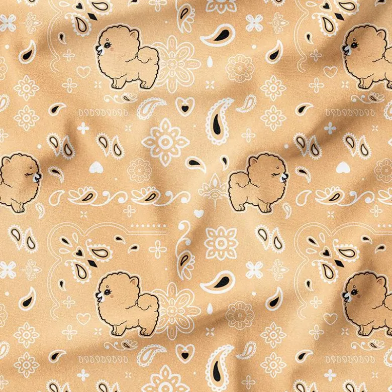 Spitz bandana - Fond beige - Création Jolifox