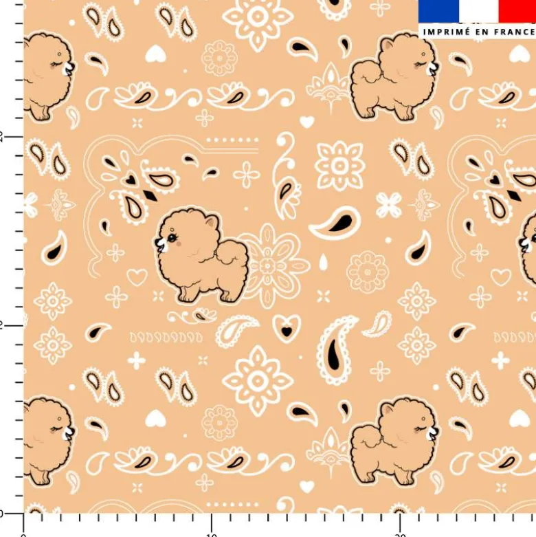 Spitz bandana - Fond beige - Création Jolifox