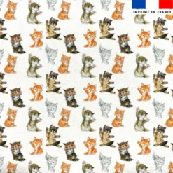 Tissu minky imprimé chatons roux gris et tigrés