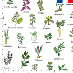 Tissu nid d'abeille motif herbes aromatiques et épices