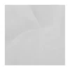 Tulle blanc
