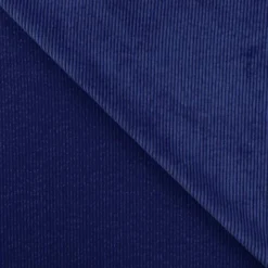 Velours côtelé bleu