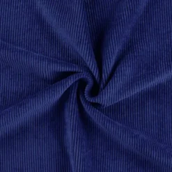 Velours côtelé bleu