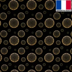 Velours noir imprimé rosace doré