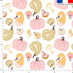 Voile de coton lurex motif cucurbitacées douceurs d'automne pastel