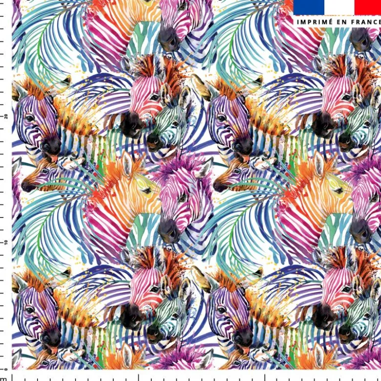 Zèbre multicolore - Fond blanc
